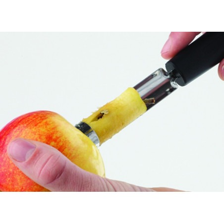 Évideur à fruits en inox  Type d'ustensile:Vide Pomme