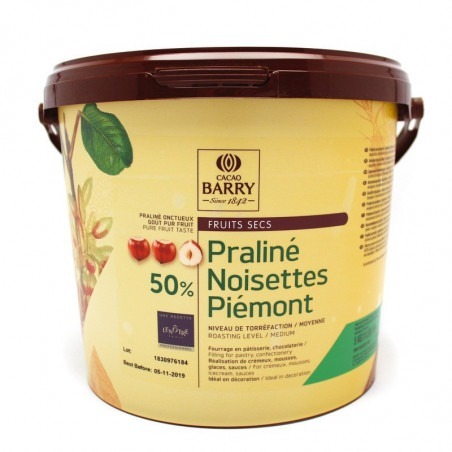 Pralin Noisette Piémont 50% - 5 kg 